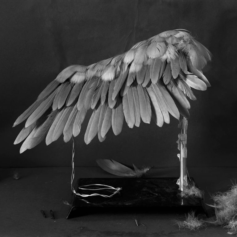 Fabio Barile — Attempt to Build a Bird’s Wing, Various Materials, 2020
