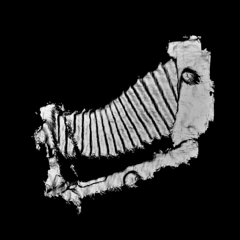 Fabio Barile — Camera Portrait #1, iPhone 3D Scans on Computer Screen, 2021